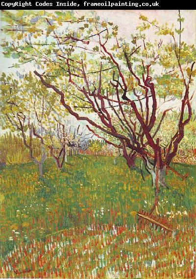 Vincent Van Gogh Cherry Tree